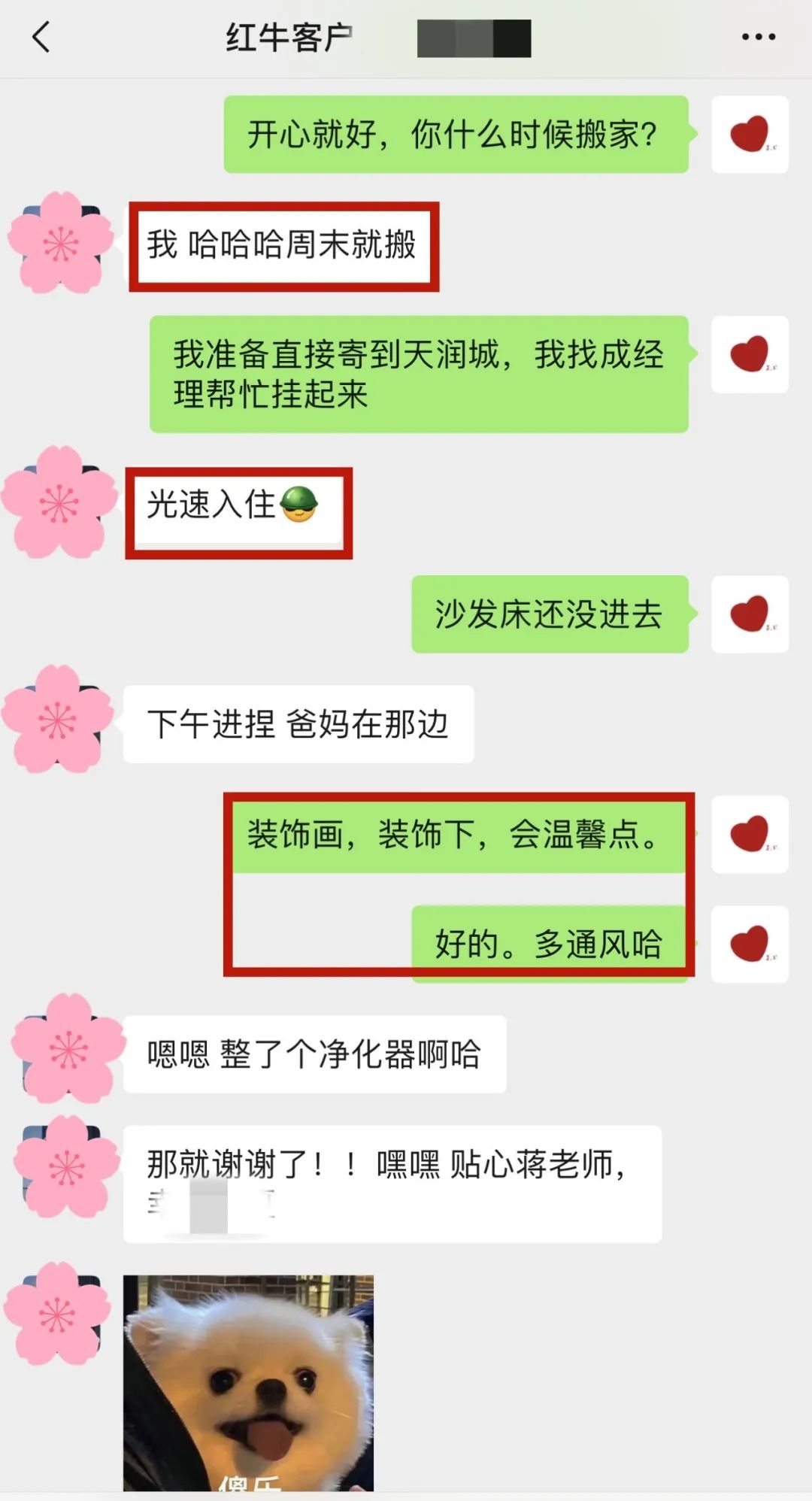 喜報(bào)｜金秋十月，收獲滿滿，紅牛裝飾再獲三面錦旗！05